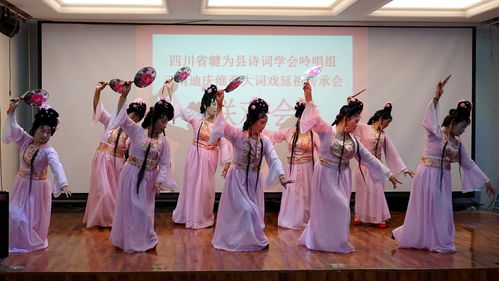 我县与云南省维西县两地民间组织开展艺术文化交流活动