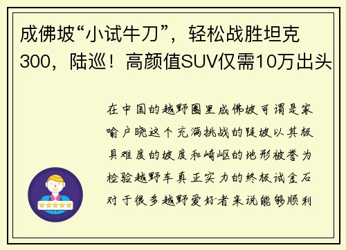 成佛坡“小试牛刀”，轻松战胜坦克300，陆巡！高颜值SUV仅需10万出头